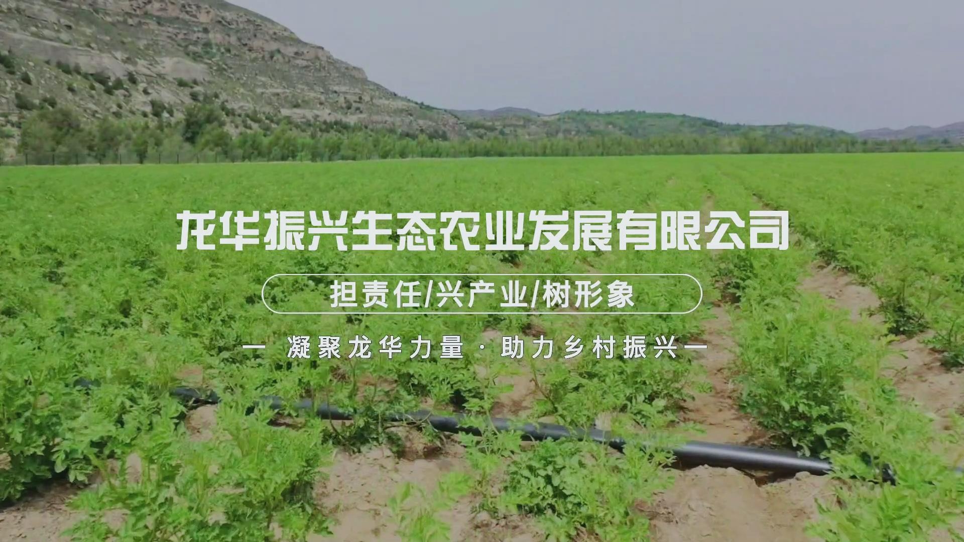 918搏天堂(中国区)官方网站